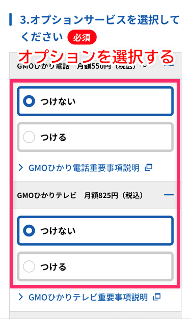 希望するオプションを選択する
