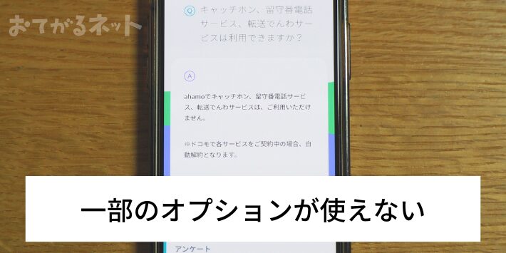 一部のオプションが使えない