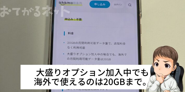 大盛りオプション加入中でも海外で使えるのは20GBまで。