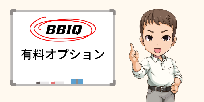 BBIQ光 有料オプション