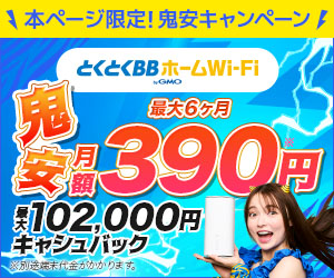 とくとくBBホームWiFi