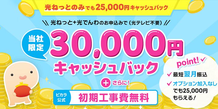 ピカラ光 30,000円キャッシュバック