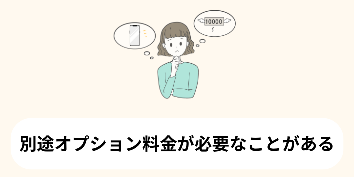 別途オプション料金が必要なことがある