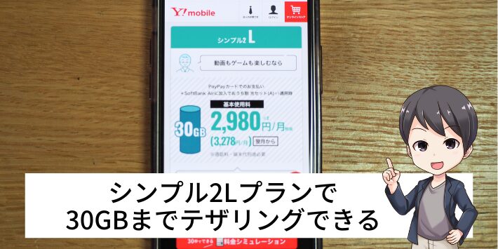シンプル2Lプランで30GBまでテザリングできる